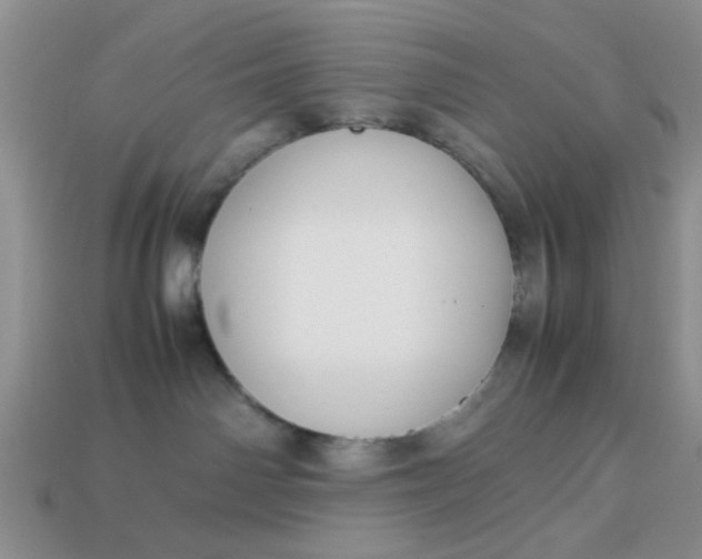 X0000113010142200909101825