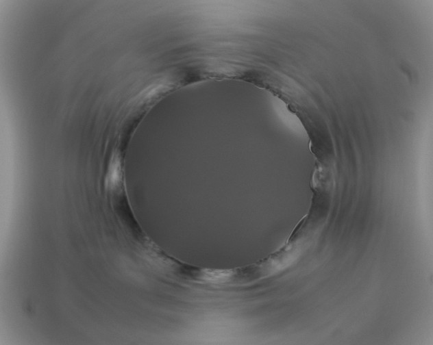 X0000113010143200909101825