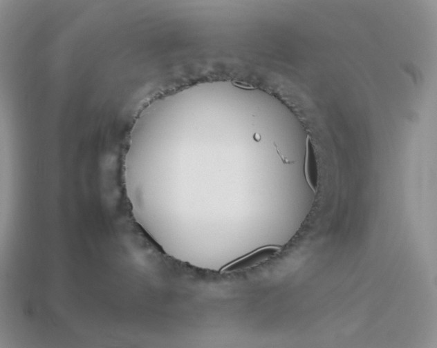 X0000113010144200909101825