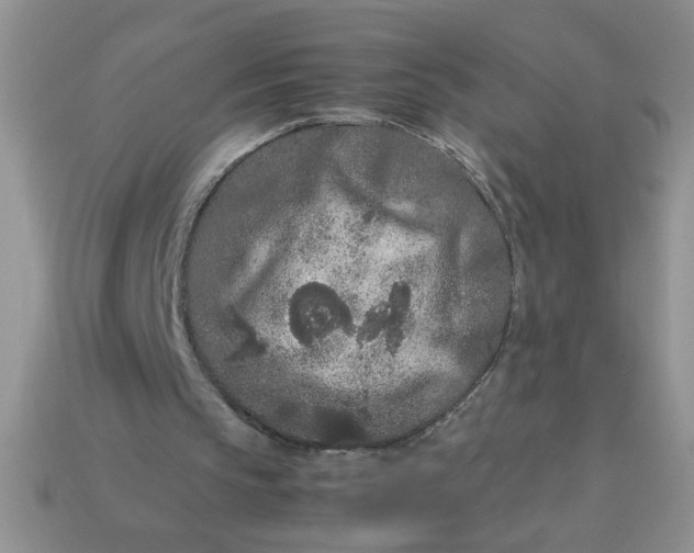 X0000113010145200909101824