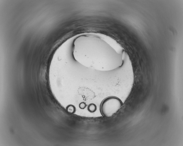 X0000113010146200909101824