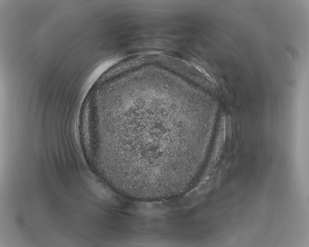 X0000113010147200909101824