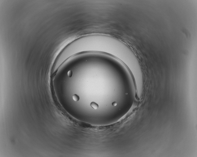 X0000113010148200909101824