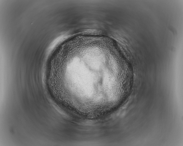 X0000113010149200909101824