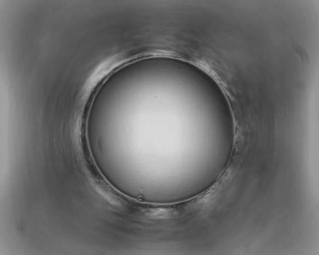 X0000113010151200909101824