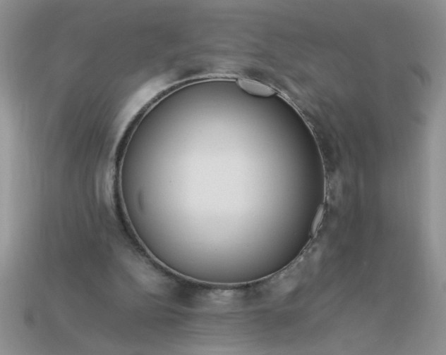 X0000113010152200909101824