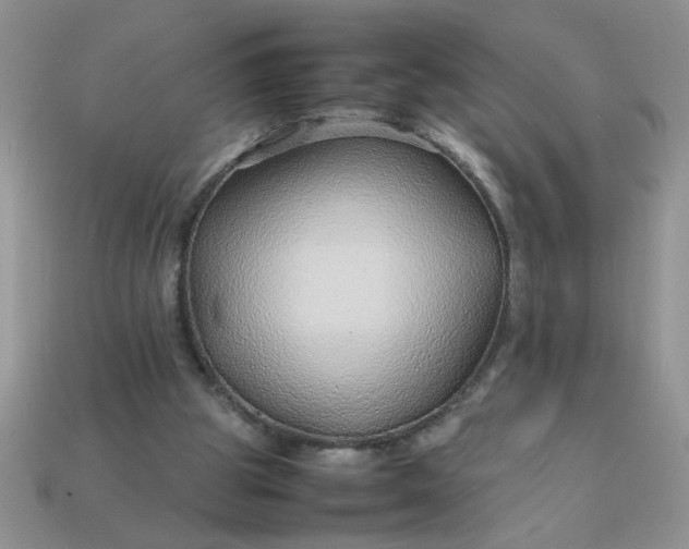 X0000113010153200909101824