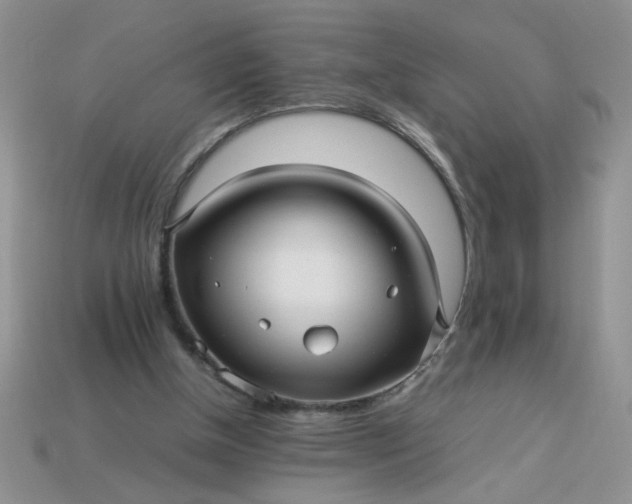 X0000113010154200909101824