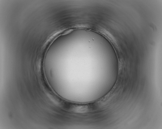 X0000113010155200909101824