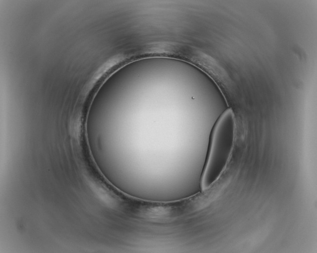 X0000113010156200909101824