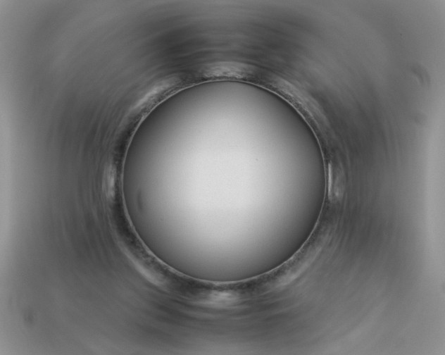 X0000113010157200909101824