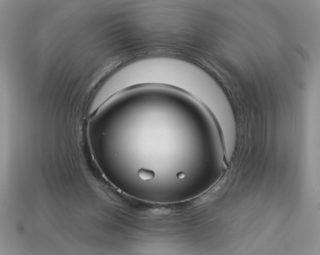 X0000113010158200909101824