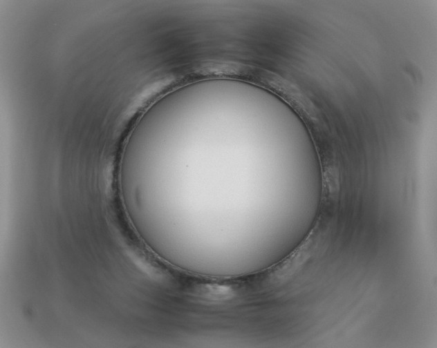 X0000113010159200909101824