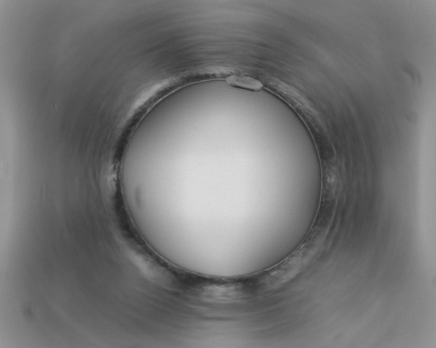 X0000113010160200909101824