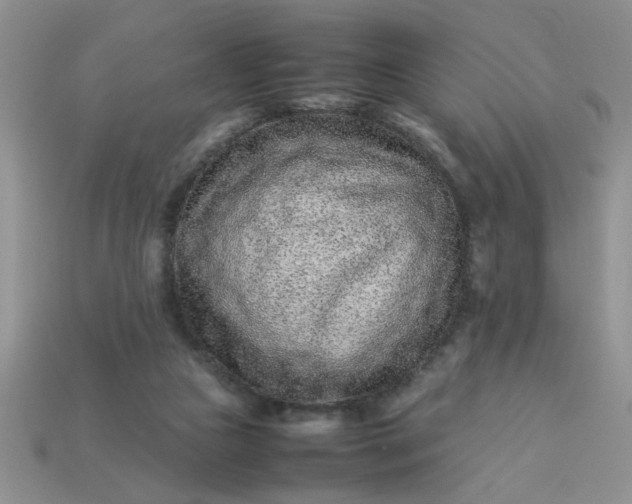 X0000113010161200909101825