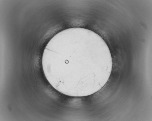 X0000113010162200909101825