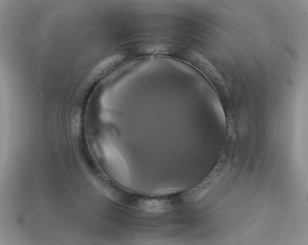 X0000113010163200909101825