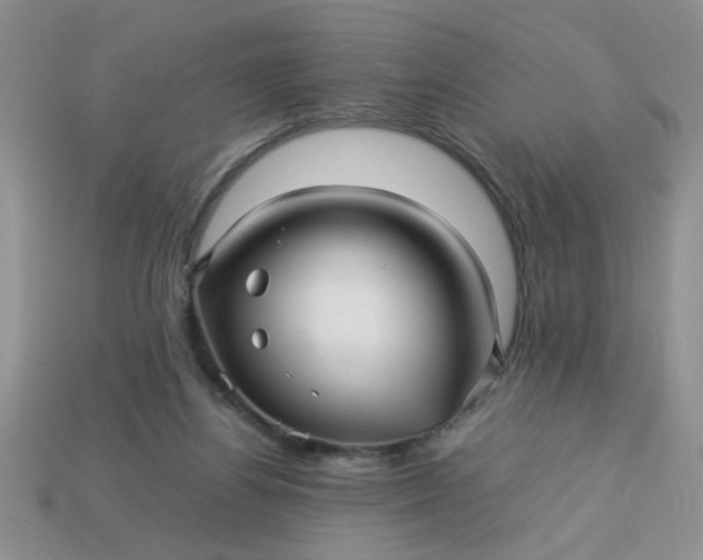 X0000113010164200909101825