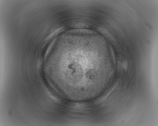 X0000113010165200909101825