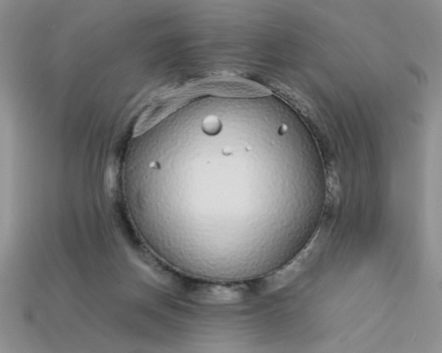 X0000113010166200909101825