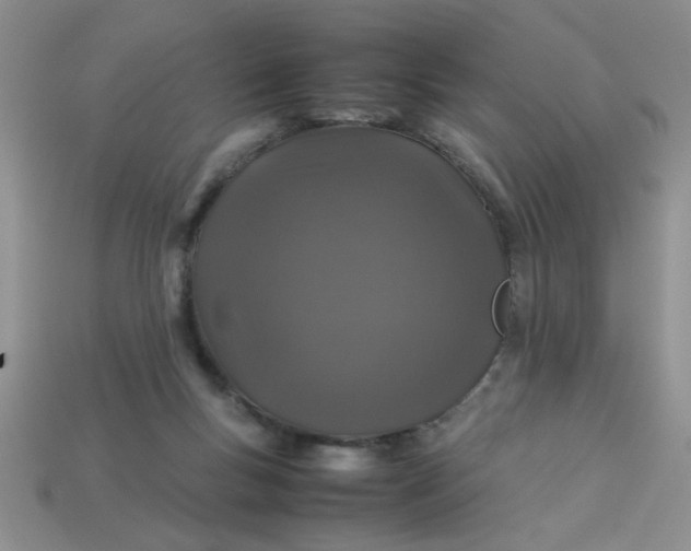 X0000113010167200909101825