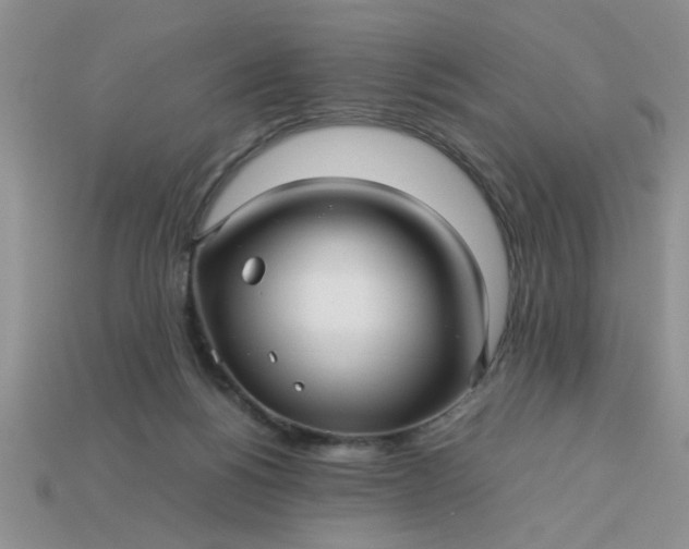 X0000113010168200909101825