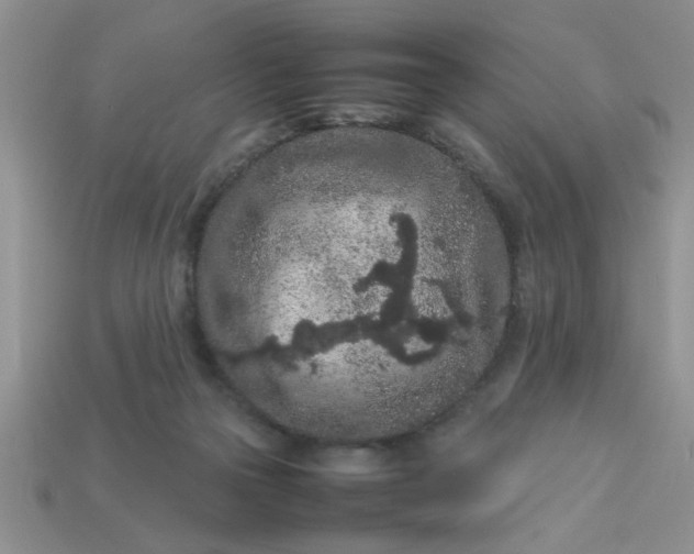 X0000113010169200909101825