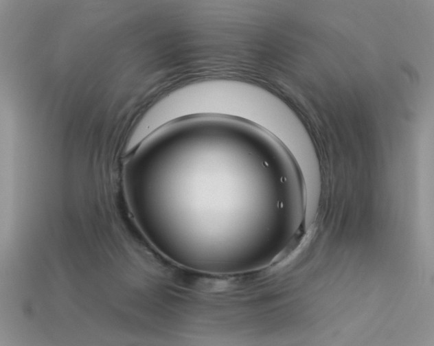 X0000113010170200909101825