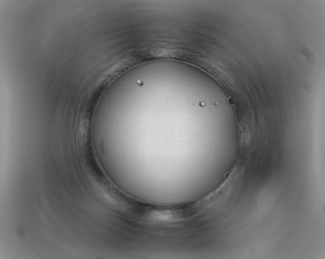 X0000113010171200909101825