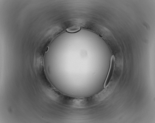 X0000113010172200909101825