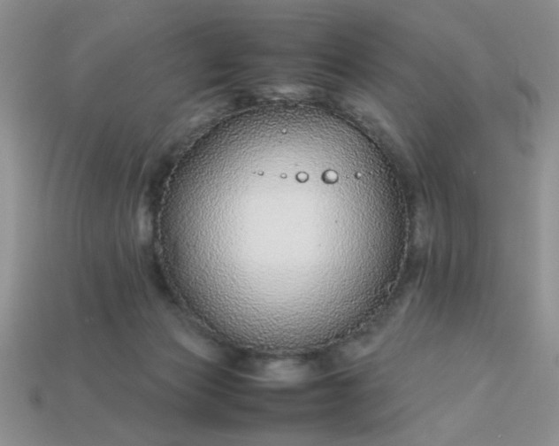 X0000113010173200909101825