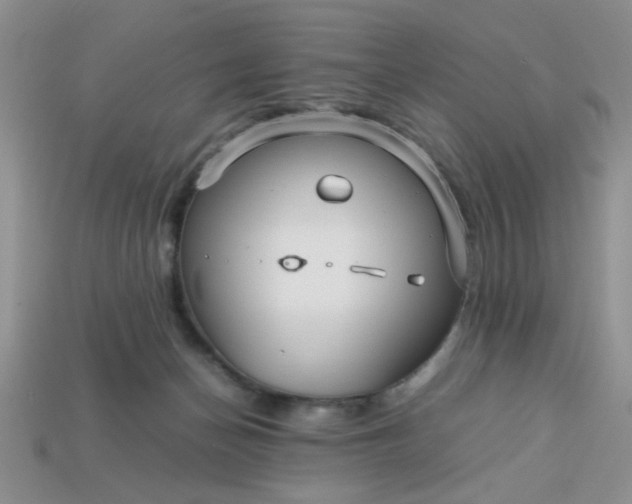 X0000113010174200909101825