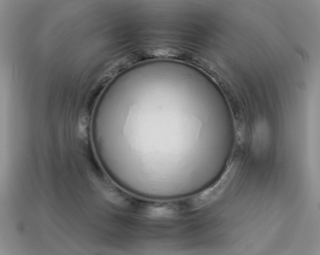 X0000113010175200909101825