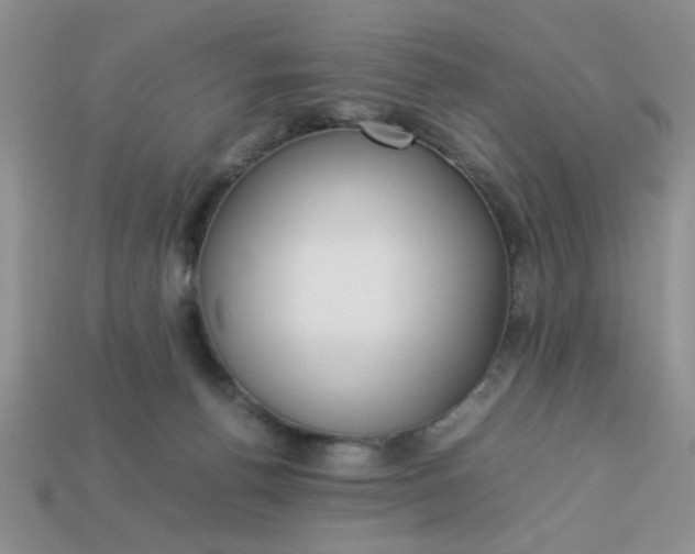 X0000113010176200909101825