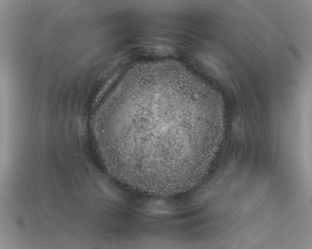 X0000113010177200909101825