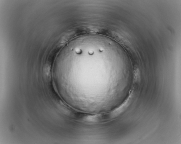 X0000113010178200909101825