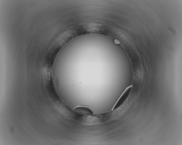 X0000113010180200909101825