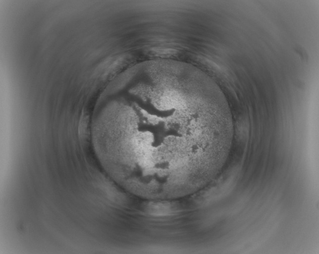 X0000113010181200909101825