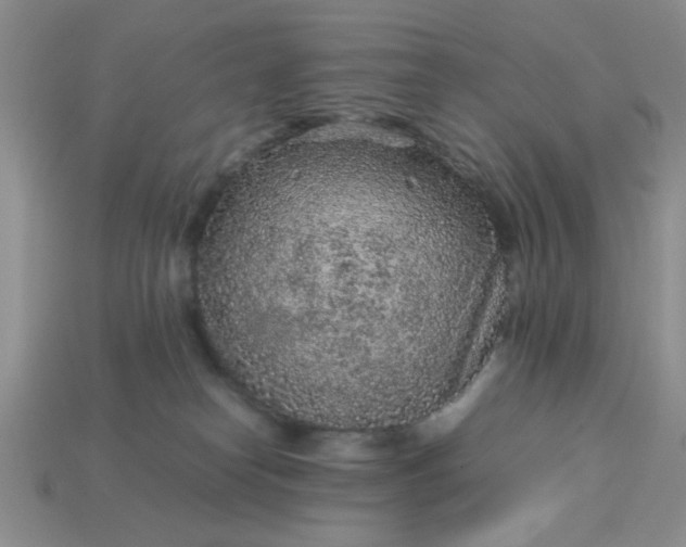 X0000113010182200909101825