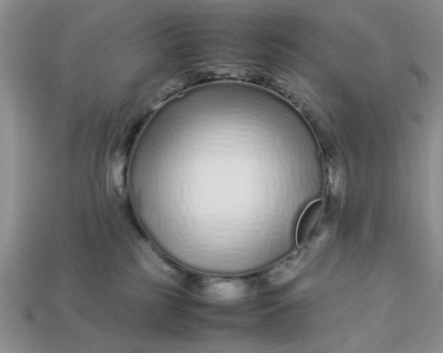 X0000113010185200909101825