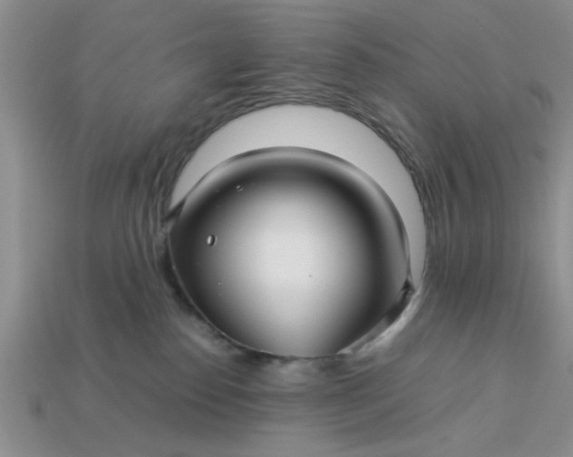 X0000113010186200909101825