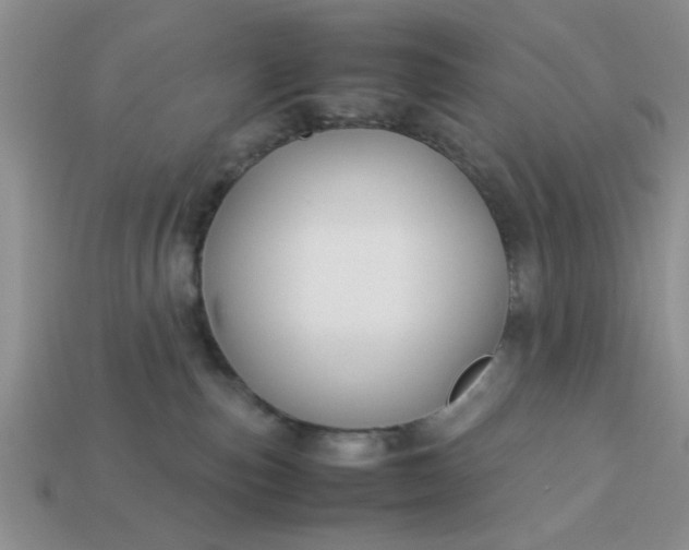 X0000113010187200909101825