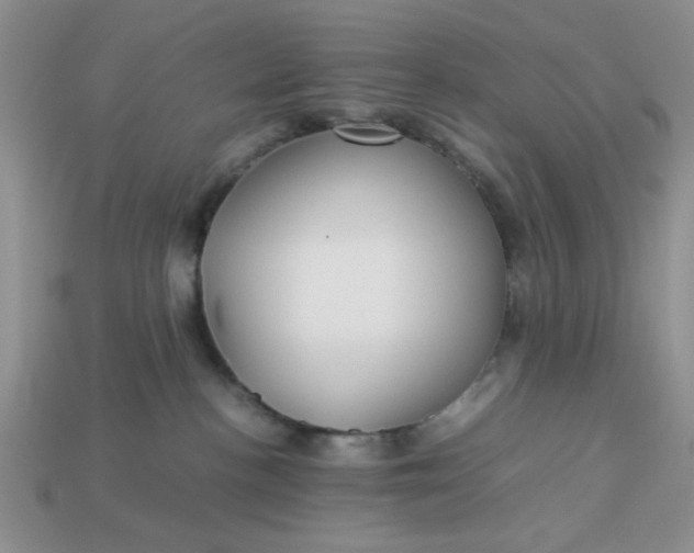 X0000113010188200909101825