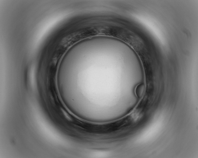 X0000113010189200909101825