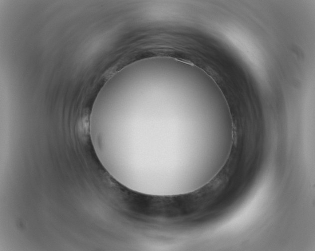 X0000113010190200909101825