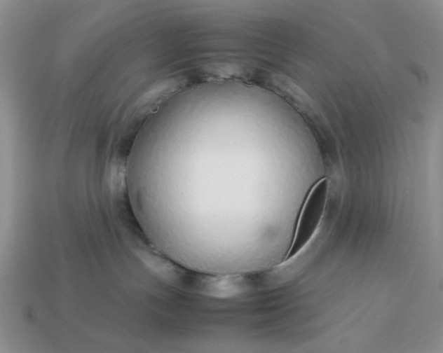 X0000113010191200909101825