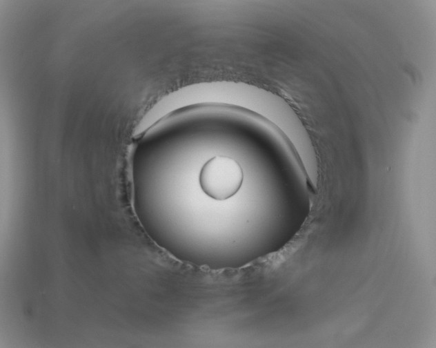 X0000113010192200909101825