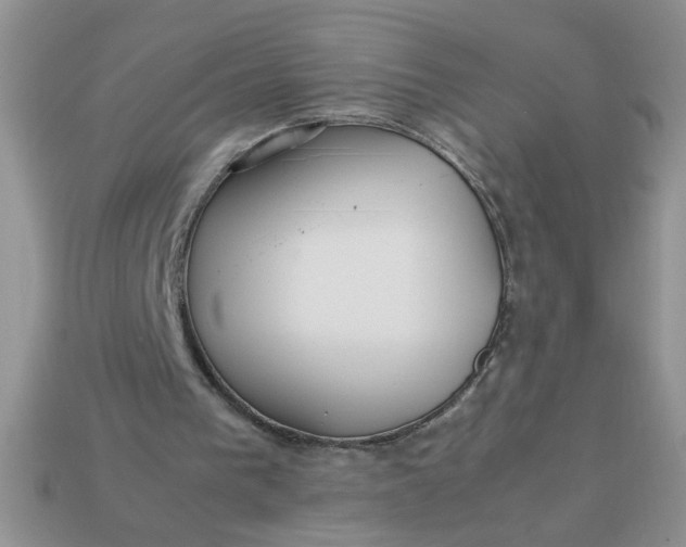 X0000113010193200909101824