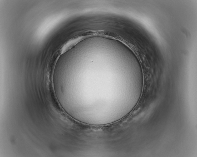 X0000113010194200909101824