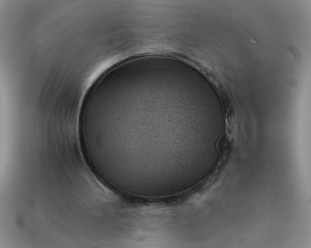 X0000113010196200909101824